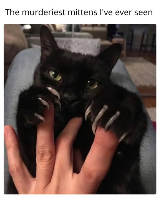 Gatezno!! Porque el adamantium es para débiles.