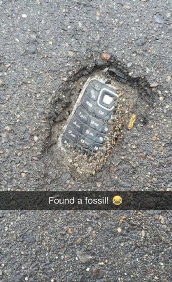 Encontró un fósil!!