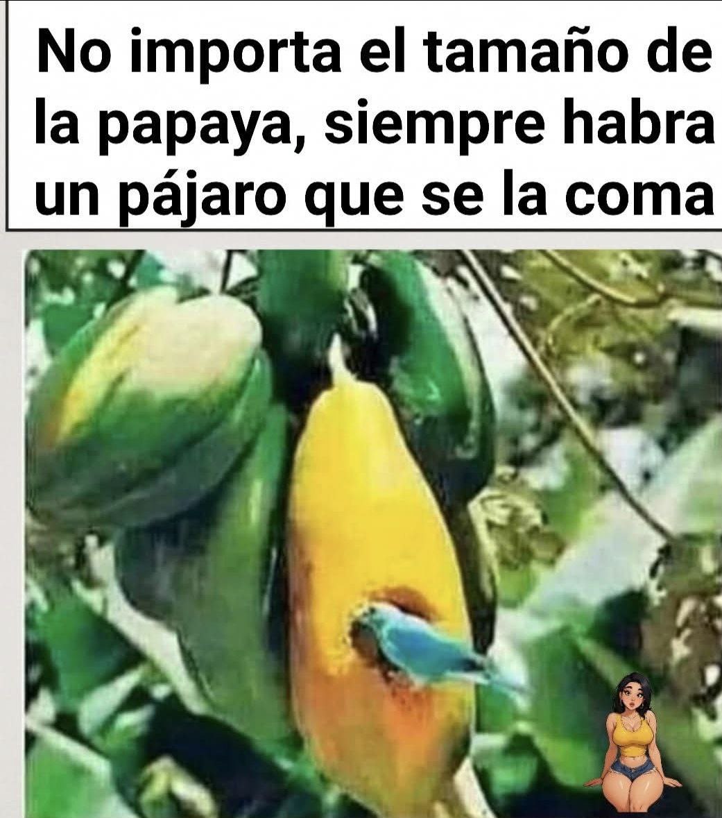 Fruta prohibida
