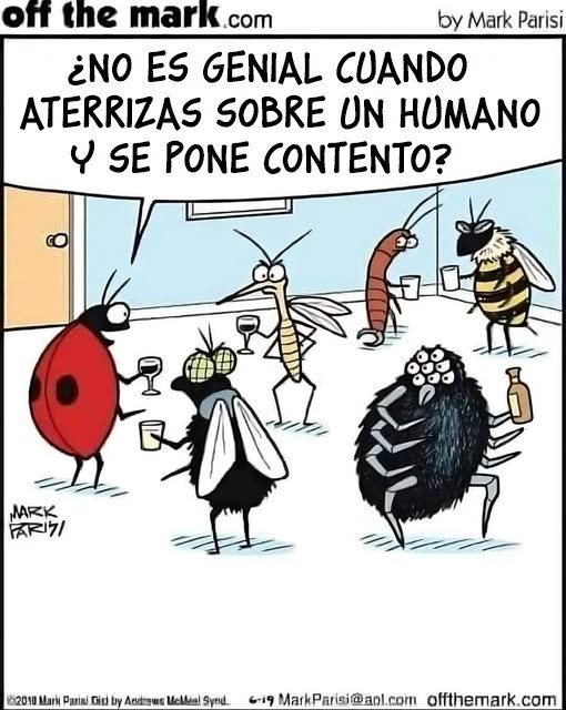 Sí, para mearse&mldr; 🤣 🤣